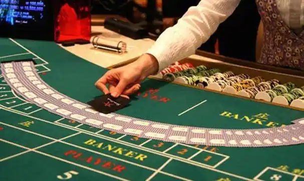 fin4d toto Auto Roulette live table display with wheel, bet slip, and game information